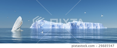 Sperm whale, sea gulls and iceberg Sperm whale, sea gulls and iceberg 29885547