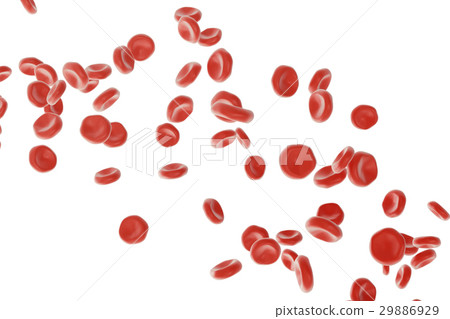Red blood cells in artery, flow inside body 29886929