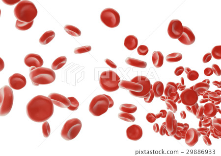 Red blood cells: responsible for oxygen carrying Red blood cells: responsible for oxygen carrying 29886933
