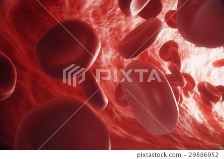 Red blood cells in vein or artery, flow inside 29886952