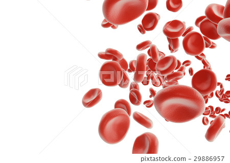 Red blood cells in vein or artery, flow inside Red blood cells in vein or artery, flow inside 29886957