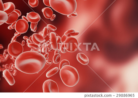 Red blood cells in artery, flow inside body 29886965