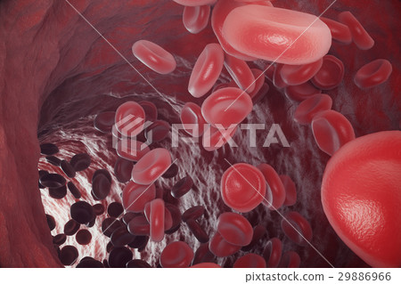 Red blood cells in artery, flow inside body 29886966