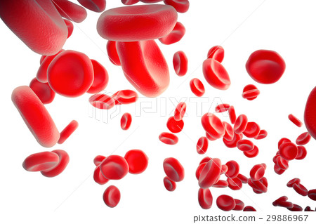 Red blood cells in artery, flow inside body 29886967