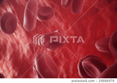 Red blood cells: responsible for oxygen carrying 29886979