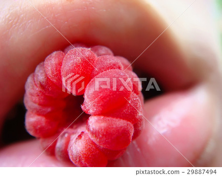 Girly pink lips without lipstick with juicy ripe Girly pink lips without lipstick with juicy ripe 29887494