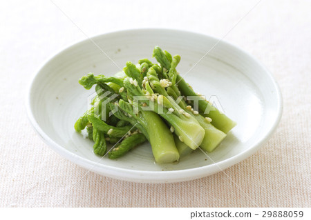 鱈魚1的蓓蕾 鱈魚1的蓓蕾 29888059