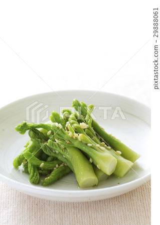 小寒芽蘸3 小寒芽蘸3 29888061