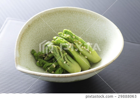 小寒芽蘸5 29888063