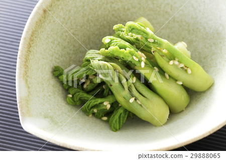 鱈魚芽7的小孩 鱈魚芽7的小孩 29888065