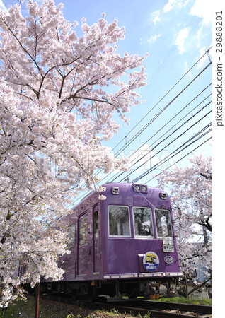 Arashi Electric Cherry Tunnel Arashi Electric Cherry Tunnel 29888201