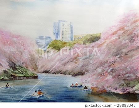 Chidorigafuchi Park Tokyo sightseeing cherry sketch Chidorigafuchi Park Tokyo sightseeing cherry sketch 29888345