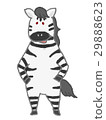 zebra zebra 29888623