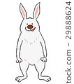 Rabbit  Rabbit  29888624