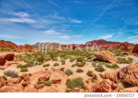 Incredibly beautiful landscape in Southern Nevada Incredibly beautiful landscape in Southern Nevada 29888727
