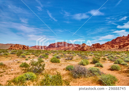 Incredibly beautiful landscape in Southern Nevada Incredibly beautiful landscape in Southern Nevada 29888745