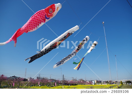 在春天的天空游泳 在春天的天空游泳 29889106