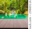 Vacation at the Falls. 29889116