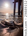 橋海洋海灘 29889152
