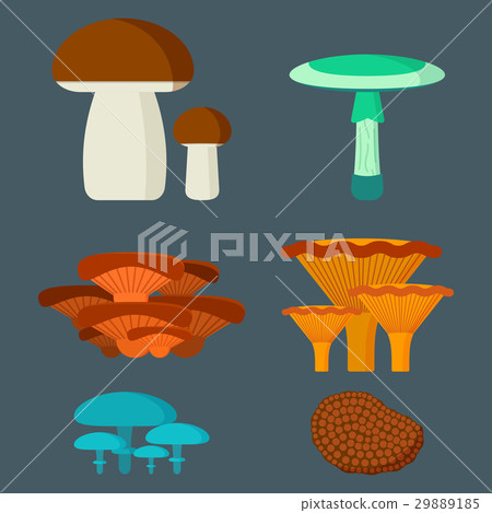 Mushrooms for cook food and poisonous nature meal Mushrooms for cook food and poisonous nature meal 29889185