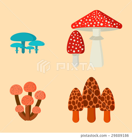 Mushrooms for cook food and poisonous nature meal 29889186