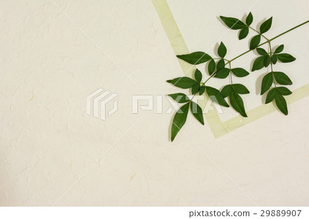 Southern leaves Japanese paper background Southern leaves Japanese paper background 29889907