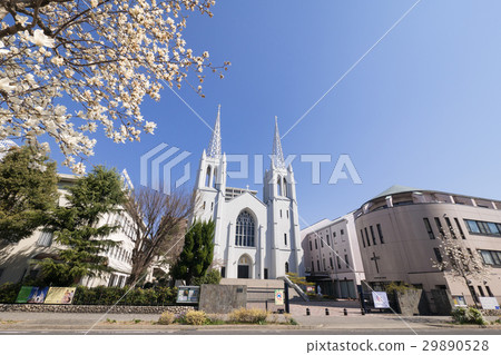 Catholic Cloth Pond Church and Magnolia 29890528