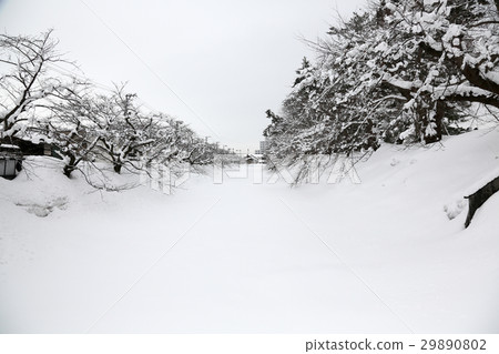 弘前城堡護城河在冬天 29890802