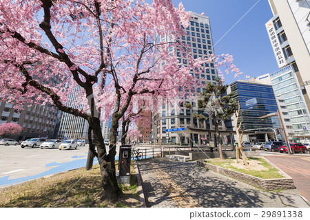 Nagoya city Naka-ku Marunouchi Sakura-dori Otsu intersection Nagoya municipal subway Hisay Odori station 2 entrance Nagoya city Naka-ku Marunouchi Sakura-dori Otsu intersection Nagoya municipal subway Hisay Odori station 2 entrance 29891338