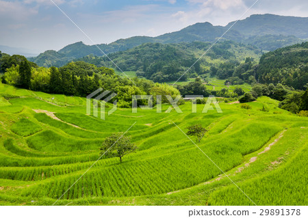 千葉縣鴨川市大山千秋 29891378