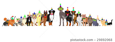 A dog and cat's bordered party arranged in order of height 29892068