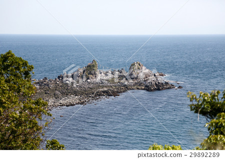 服裝Mitsuru 29892289