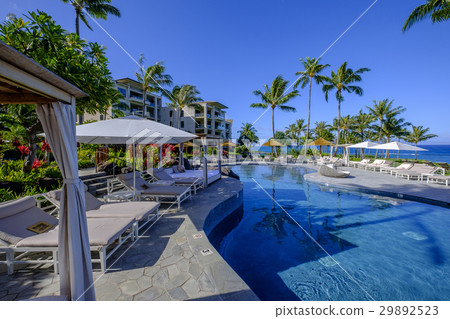 熱帶度假游泳池 熱帶度假游泳池 29892523