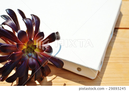 Black juggler and canvas 29893245