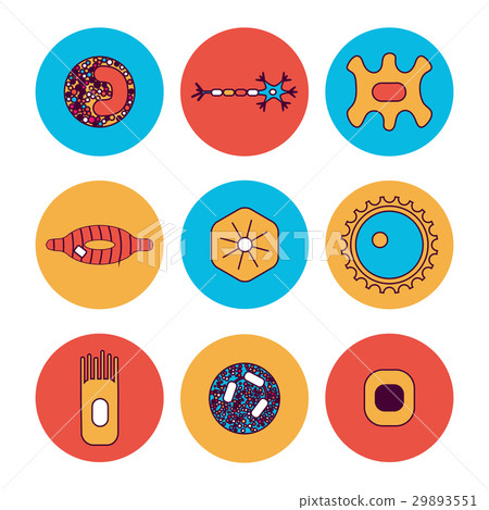 different human cell types 29893551