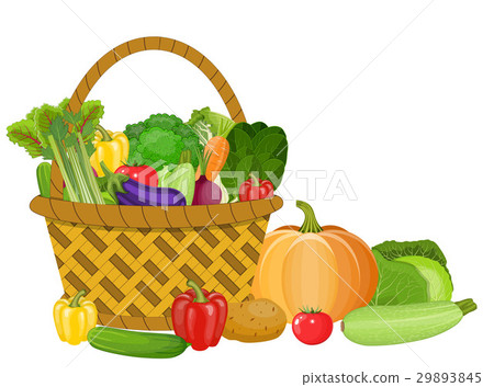 Basket with vegetables - Stock Illustration [29893845] - PIXTA