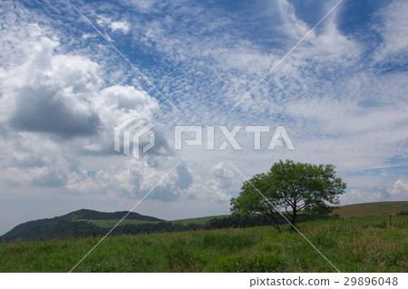高原的風景 高原的風景 29896048