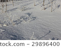 Snow-covered and frozen grass in field 30408 29896400
