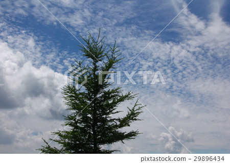 Scenery of the plateau Scenery of the plateau 29896434