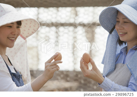 Poultry female 29896725