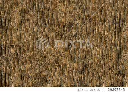 illustration wooden peel pattern pine hardwood illustration wooden peel pattern pine hardwood 29897843