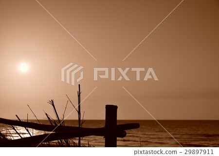 風景 海 夕陽 傍晚 風景 海 夕陽 傍晚 29897911