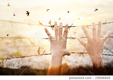 Hands of prison on wire and flying birdson sunset 29898808