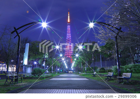 Tokyo night view Tokyo night view 29899306