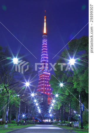 Tokyo night view Tokyo night view 29899307