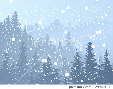 Wild coniferous snowy forest. Wild coniferous snowy forest. 29900124