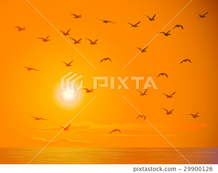 Flying birds against orange sunset. Flying birds against orange sunset. 29900126