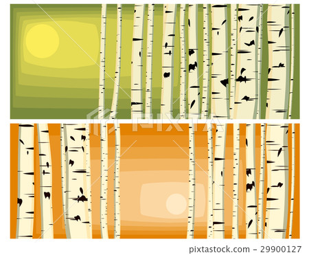 Horizontal illustrations of trunks birches. Horizontal illustrations of trunks birches. 29900127