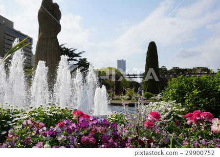 Fountains and flowers Fountains and flowers 29900752