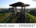 青森蘋果園 29900847